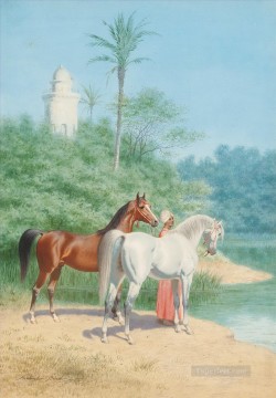 far0083D13 figura clásica caballos árabes Pinturas al óleo